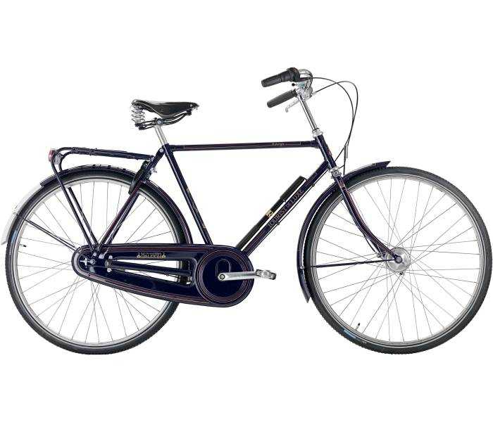 raleigh Tourist de Luxe Herre 3g 2020 raleigh Tourist de Luxe Herre 3g 2020