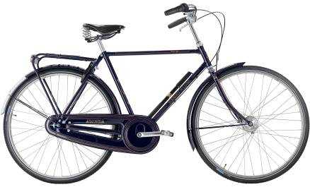 raleigh Tourist de Luxe Herre 3g 2020