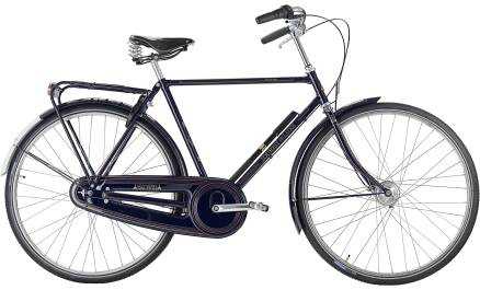 raleigh Tourist de Luxe Herre 7g 2020