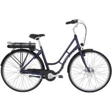 raleigh Darlington Dame 2020