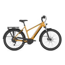 Gazelle Medeo T10 HMB da 50cm