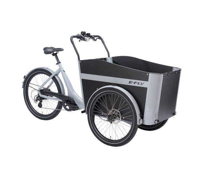 E-FLY Cargo RD