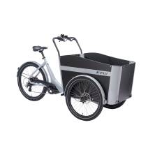 E-FLY Cargo RD